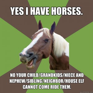 Horse Meme