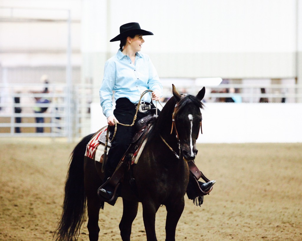 Arabian Reining Horse Beginner Show