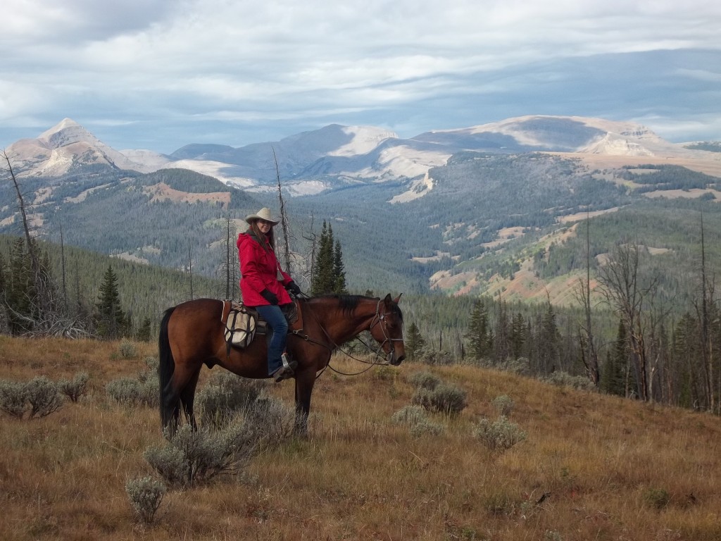 Wyoming Gros Ventre Wilderness Horse Blog