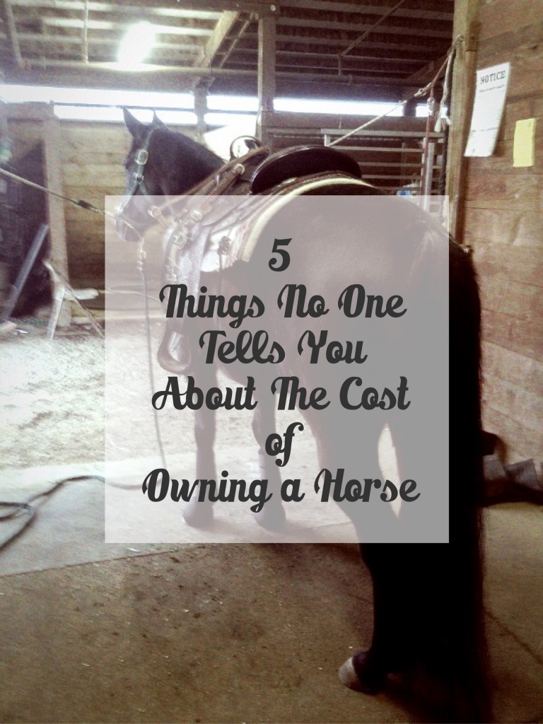 5 hidden costs of horse ownership