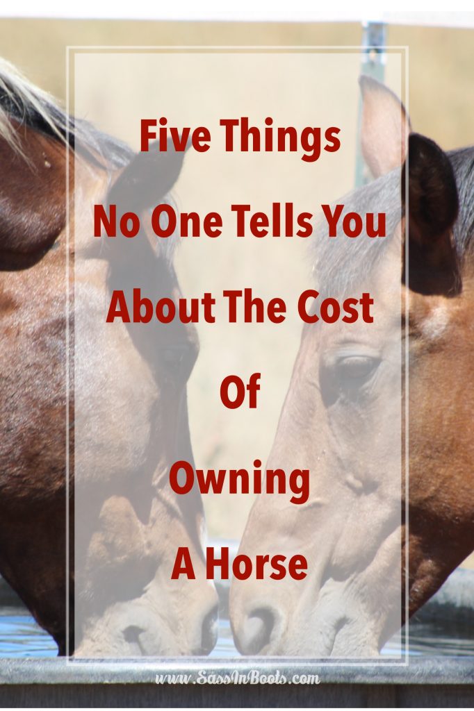 Five things no one tells you about the cost of owning a horse and hidden costs