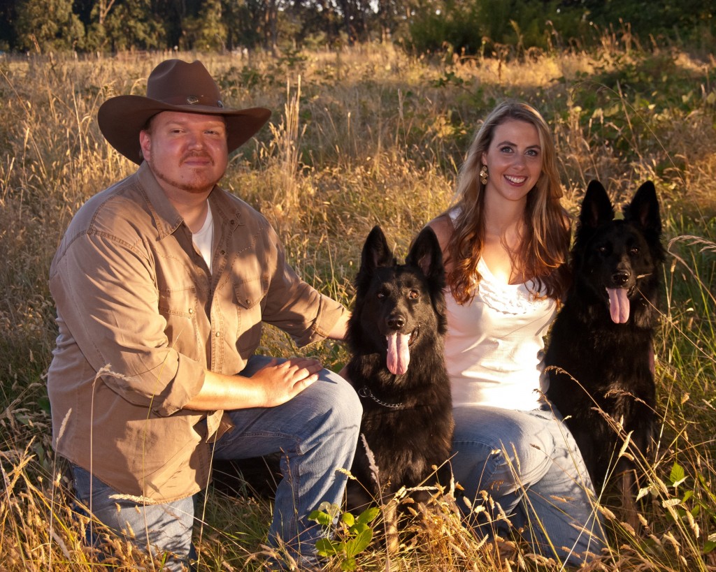 German Shepherd Dogs in Engagement Photo