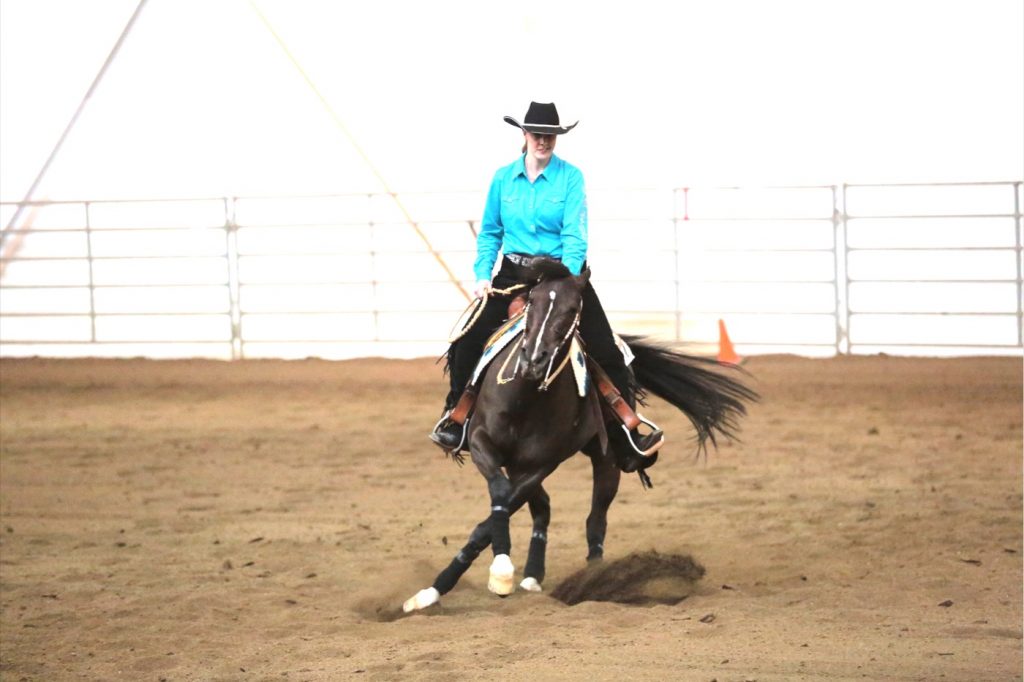 Arabian Reining Horse Spin with cross over