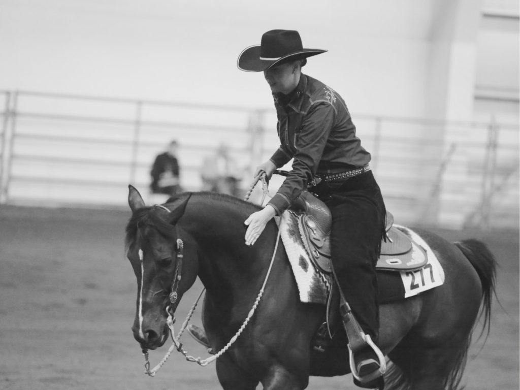 Arabian Reining Horse end of show