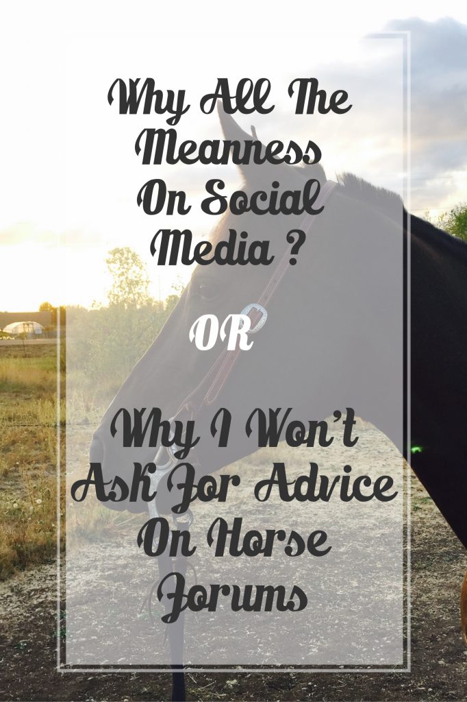 Meanness on Social Media and Horse Forums