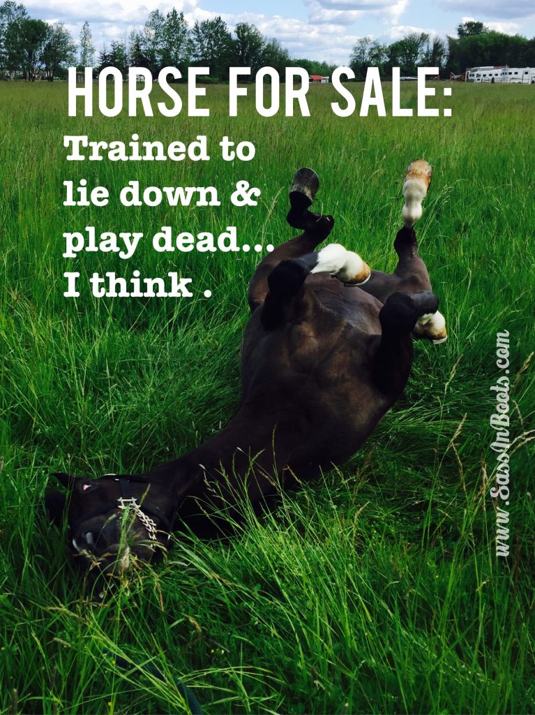 Horse Sale Ad Lies Play Dead