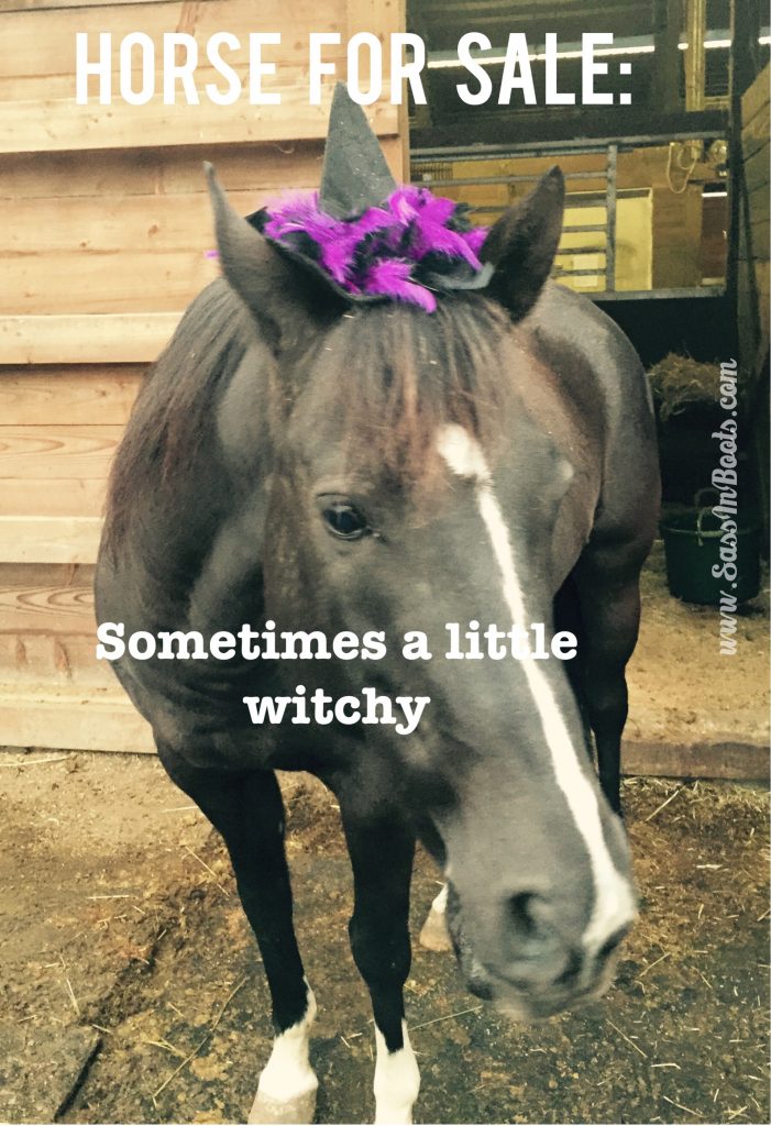 Horse Sale Ad Lies Witchy