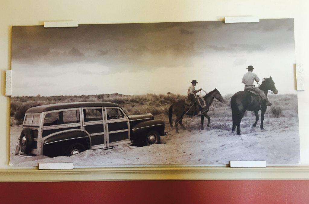 Horses Pulling Car Out of Sand Fort Worth Stockyards Texas