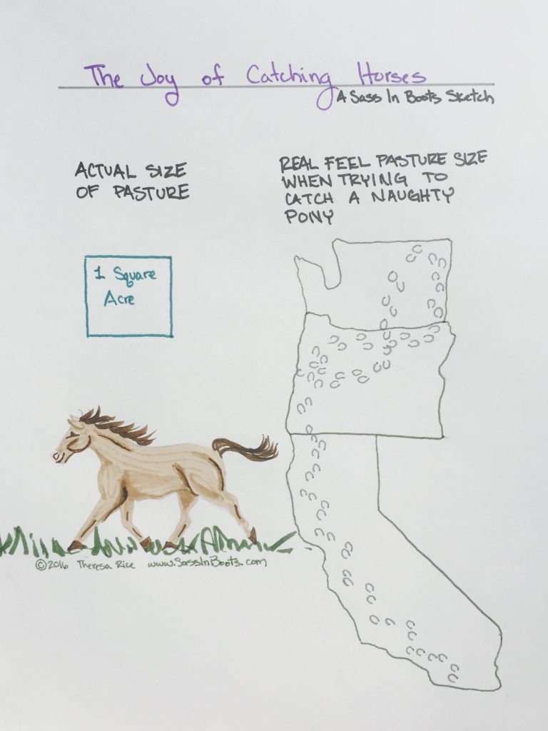 Catching A Naughty Horse in a big field sketch