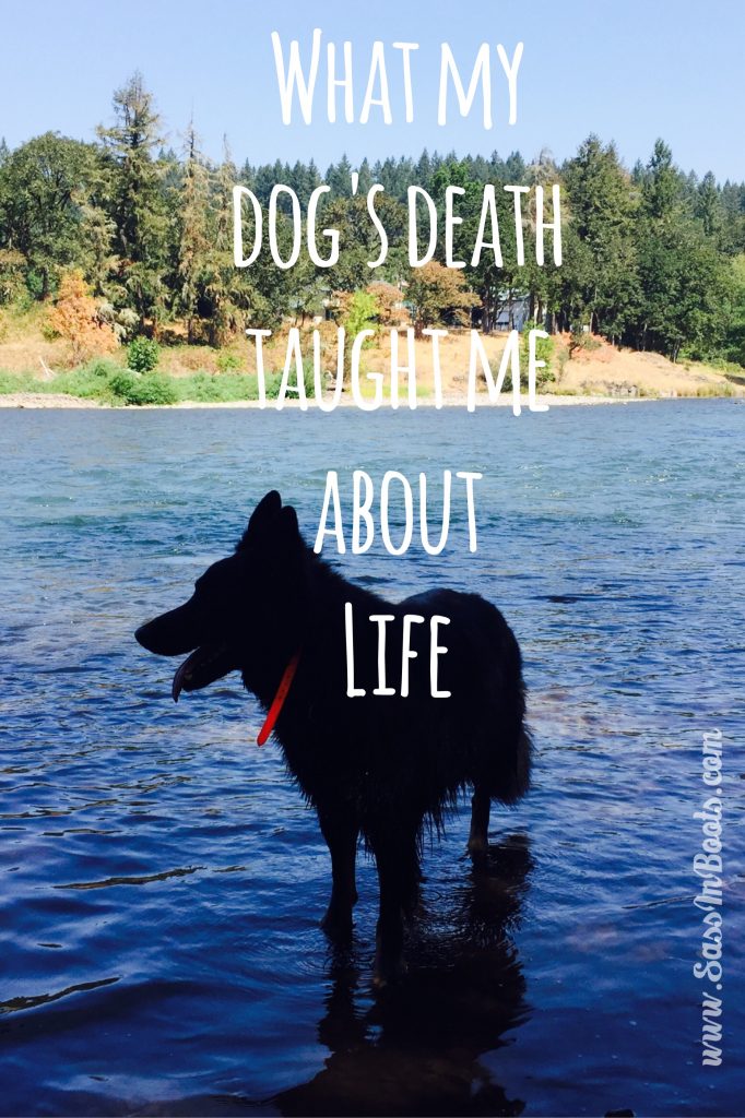 Dog Death Lessons on Life