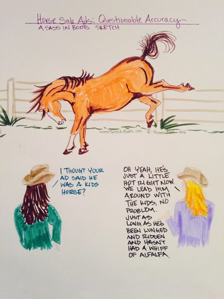 Horse Ad Lies A kids Horse Bucking Sketch