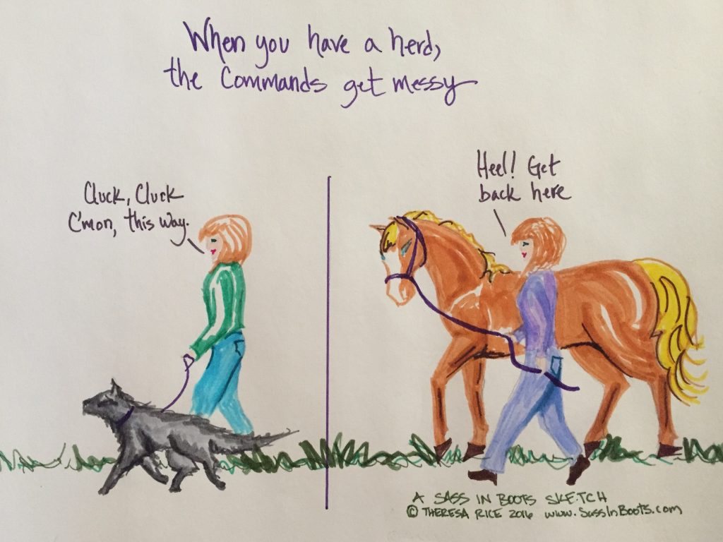 Horses who heel and dogs who whoa mixed signals