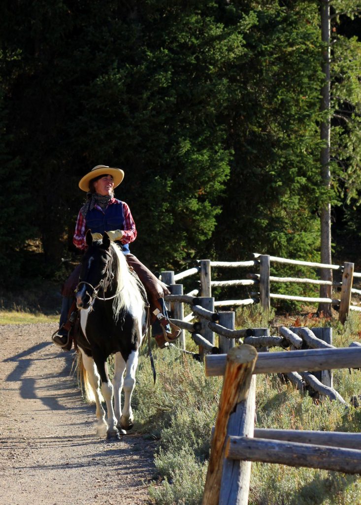 Cowgirl Wrangler