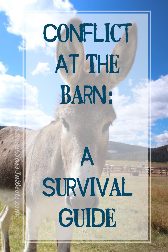 conflict-at-the-barn-an-excellent-survival-guide-to-get-you-through