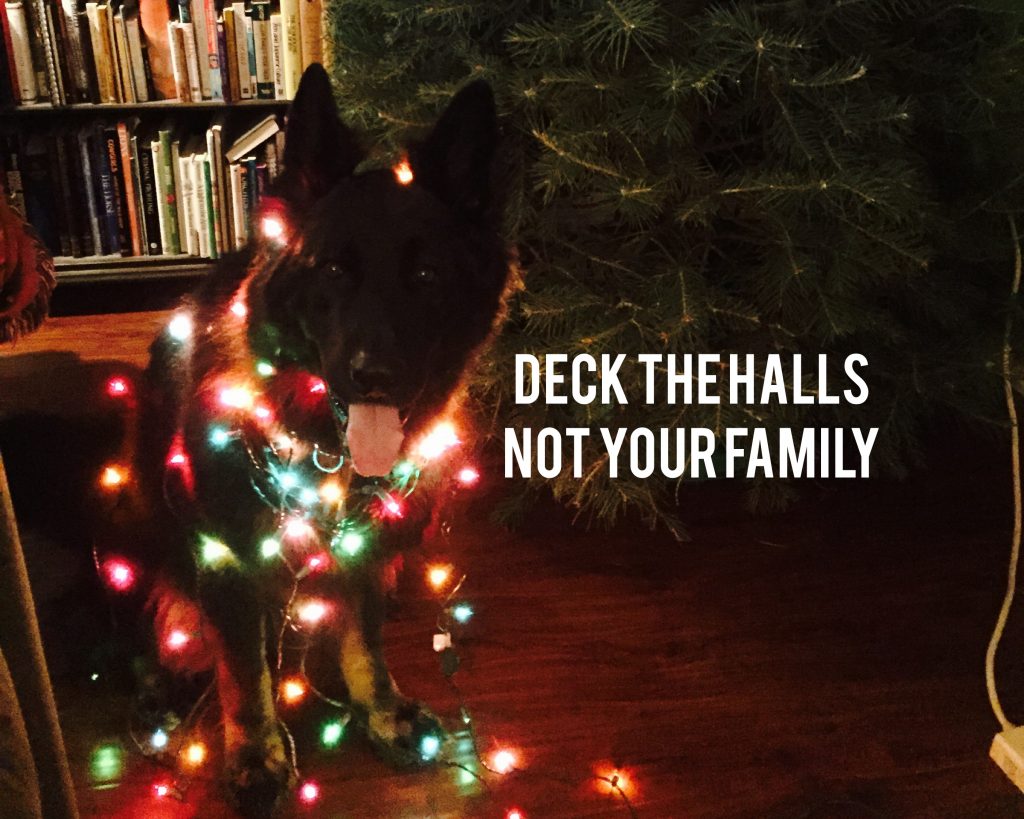 Deck The Halls Not Your Family Christmas