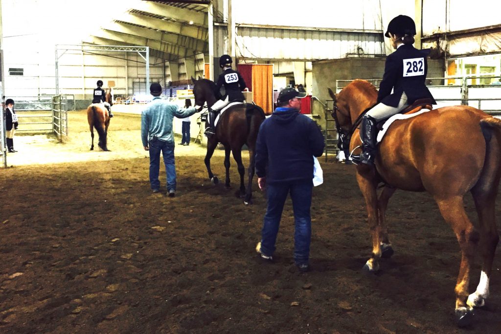 Learn From Your Horse Show Competitors