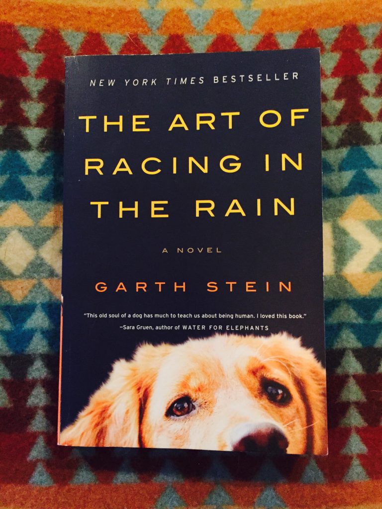 The Art of Racing in the Rain Garth Stein