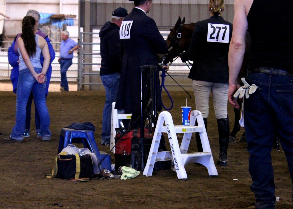 Center of the Warm Up Ring