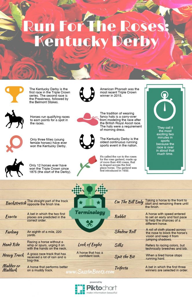 Kentucky Derby Run For The Roses Infographic Trivia and Horse Racing Terminology Fun