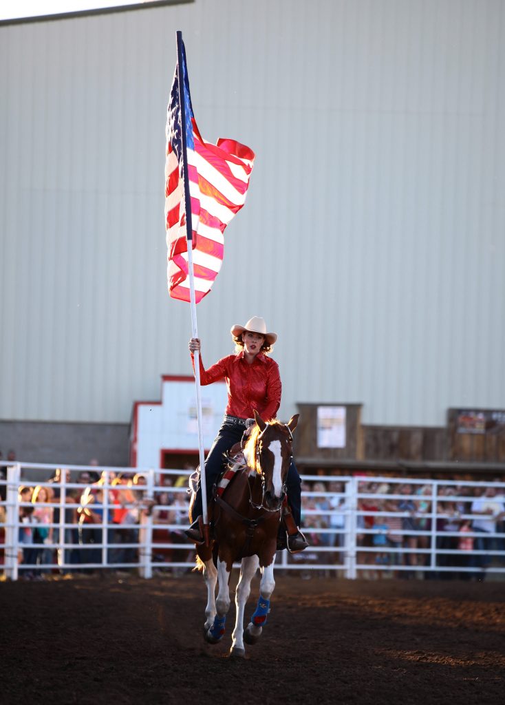 Rodeo Flag Horse