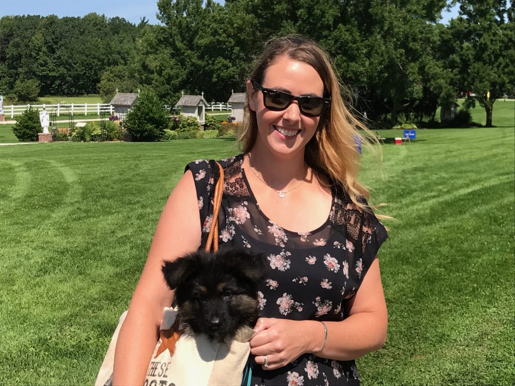 German Shepherd Puppy In A Bag