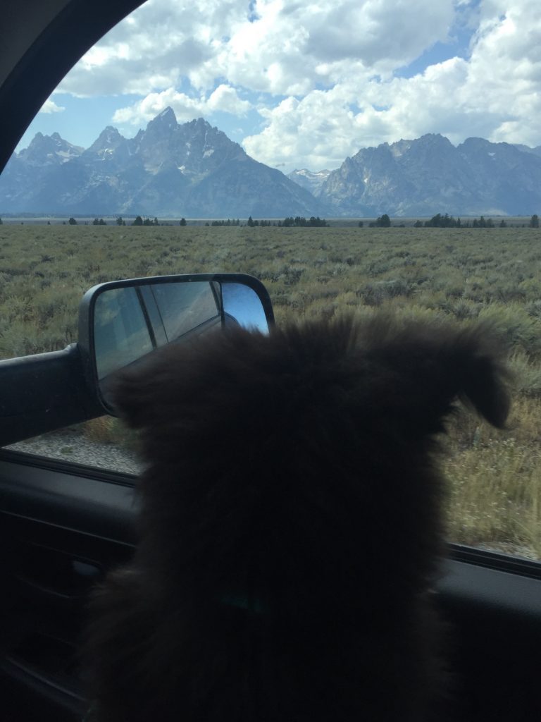 Tetons Coming Into View