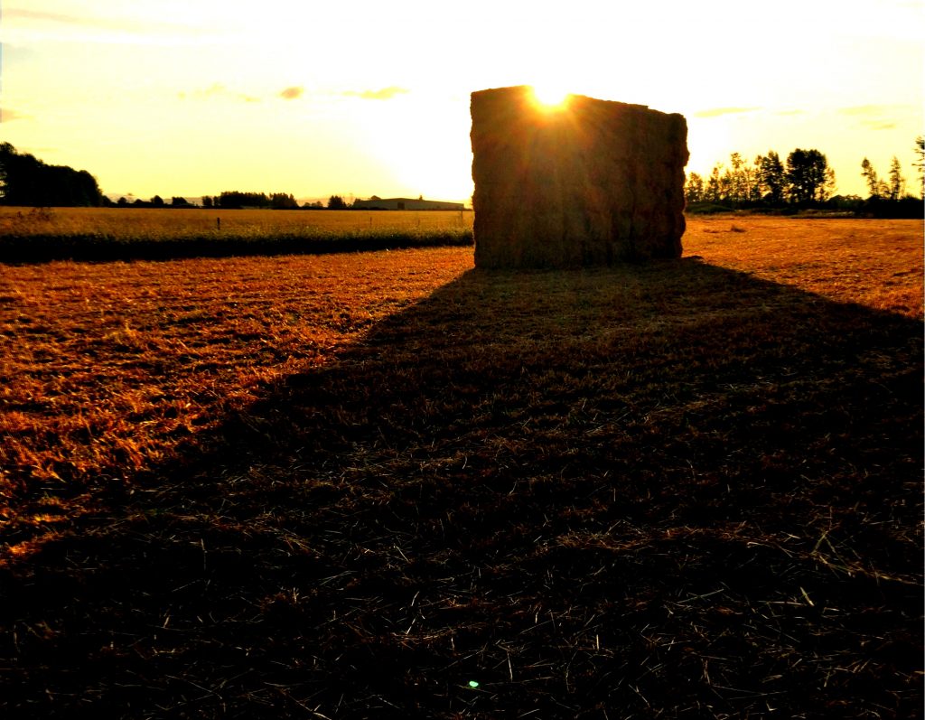 Stacked Hay Bales