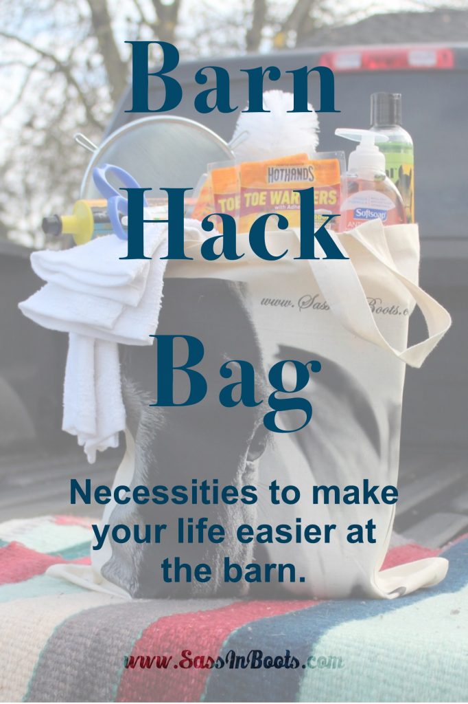 Barn Hack Bag Necessities To Make Your Life Easier At The Barn