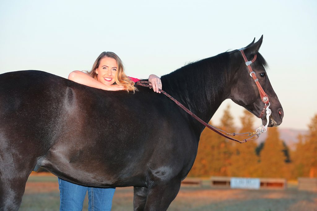 Equine Photography