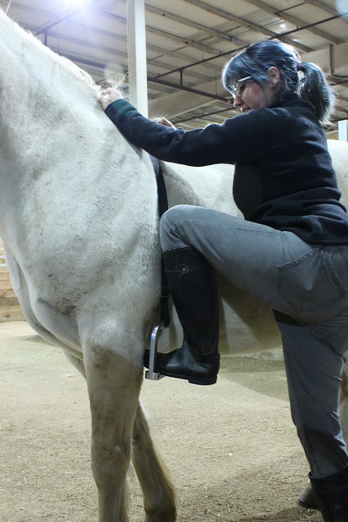 Solo Ride Mounting Aid By Hairy Back Ranch