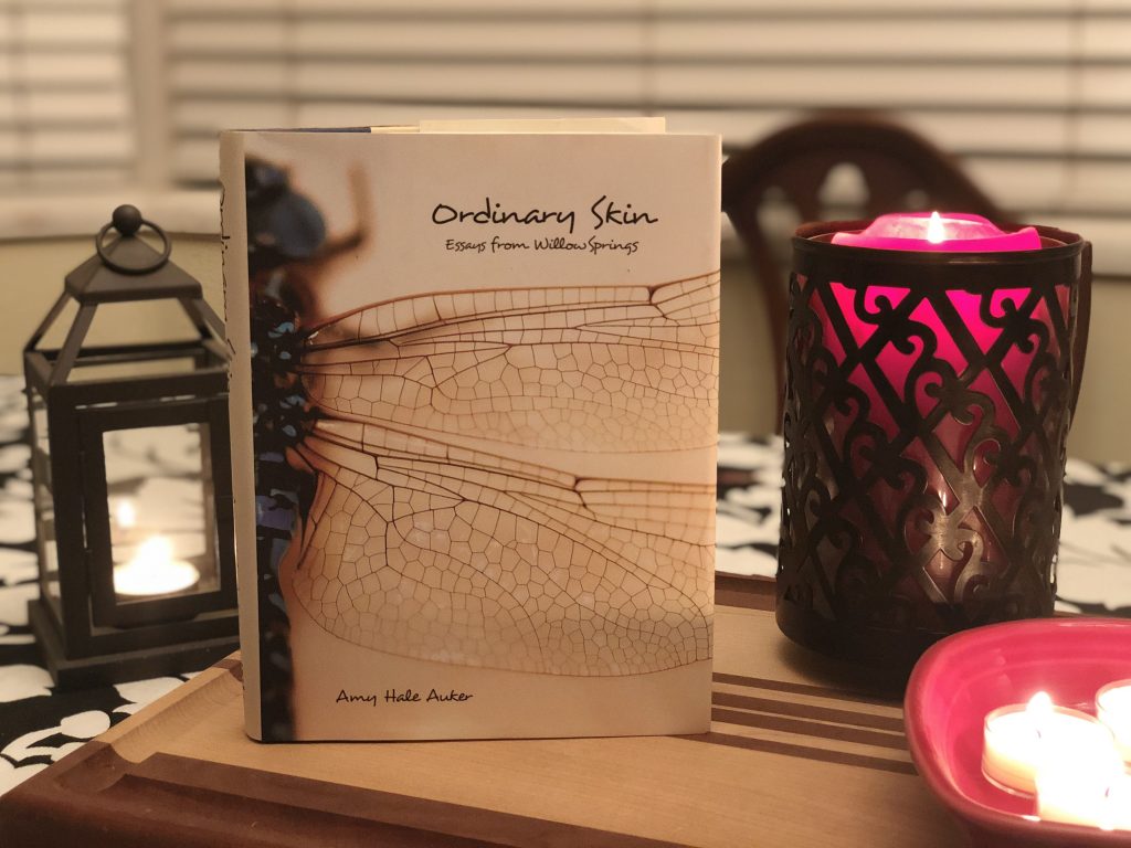 Amy Hale Auker Ordinary Skin Book