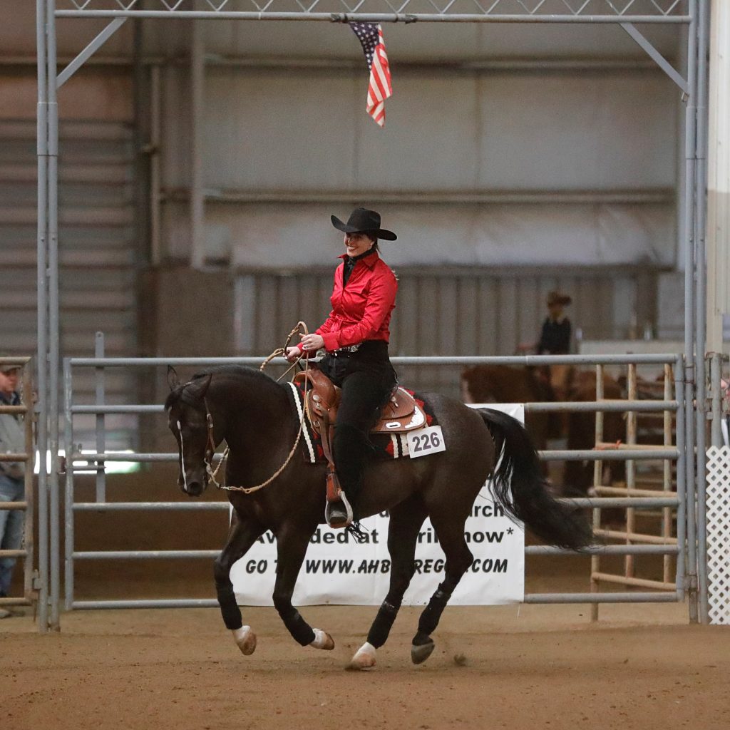 Arabian Reining Horse & Red Rider