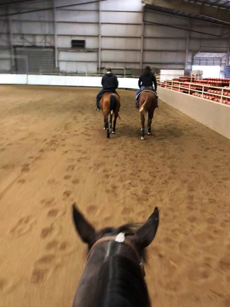 Early Morning Horse Trainer Staff Meeting