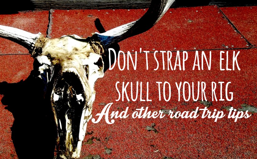 Don’t Strap an Elk Skull to Your Rig, And Other Road Trip Tips