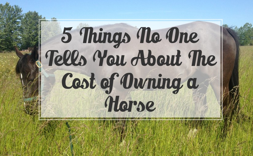 Five Things No One Tells You About The Cost of Owning a Horse