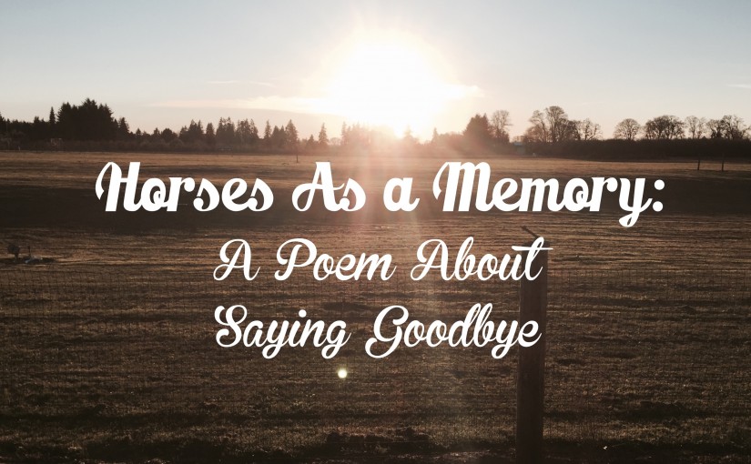 Horses As a Memory: A Poem About Saying Good Bye