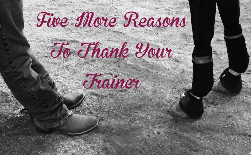 5 reasons to thank your Arabian Horse trainer