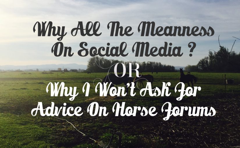 Meanness On Social Media And Facebook Horse Forums