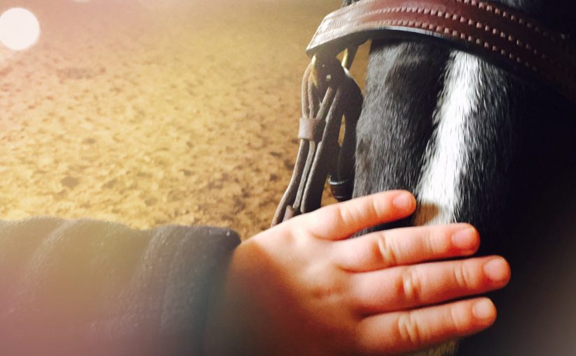 Horseback Riding Lessons For Children