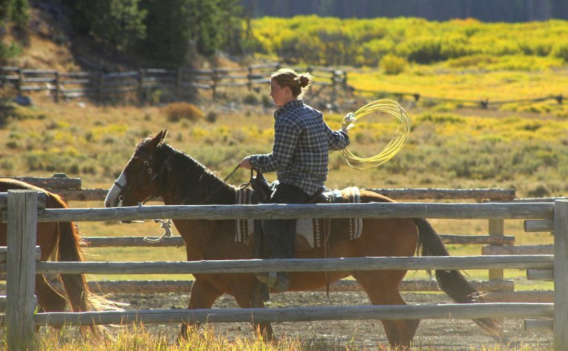 Cowgirl Wrangling Horses