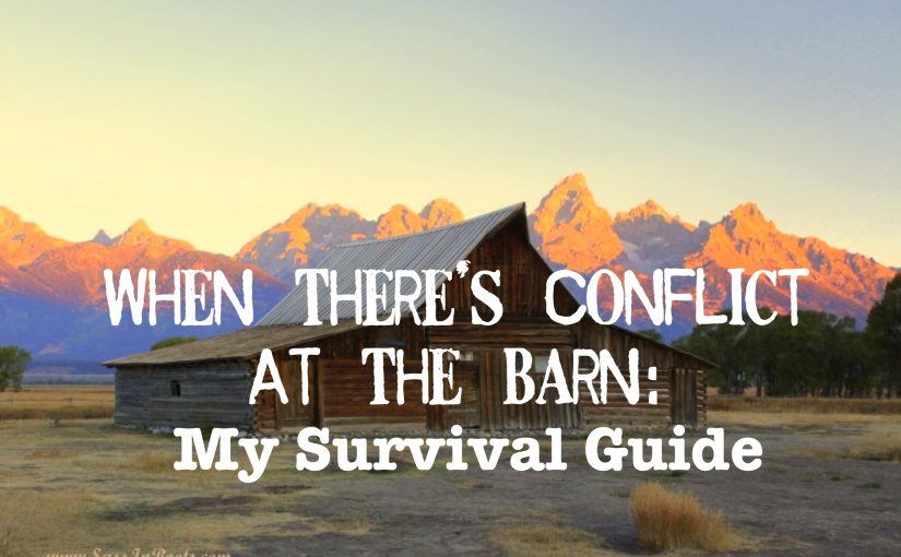 When There’s Conflict At The Barn: My Survival Guide