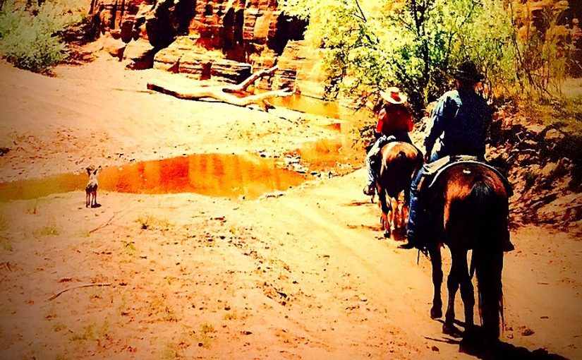 Arizona Guest Ranch Trail Ride