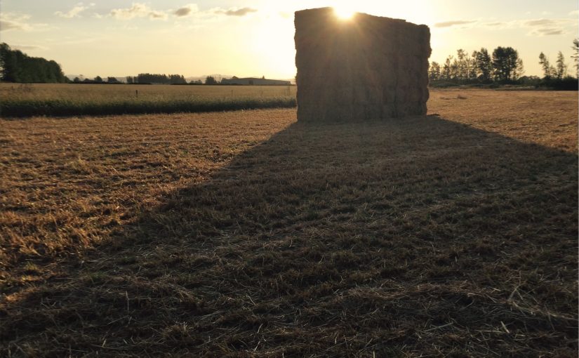 Stacked Hay at Sunset