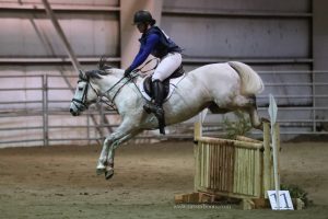 Show Jumping Pony White