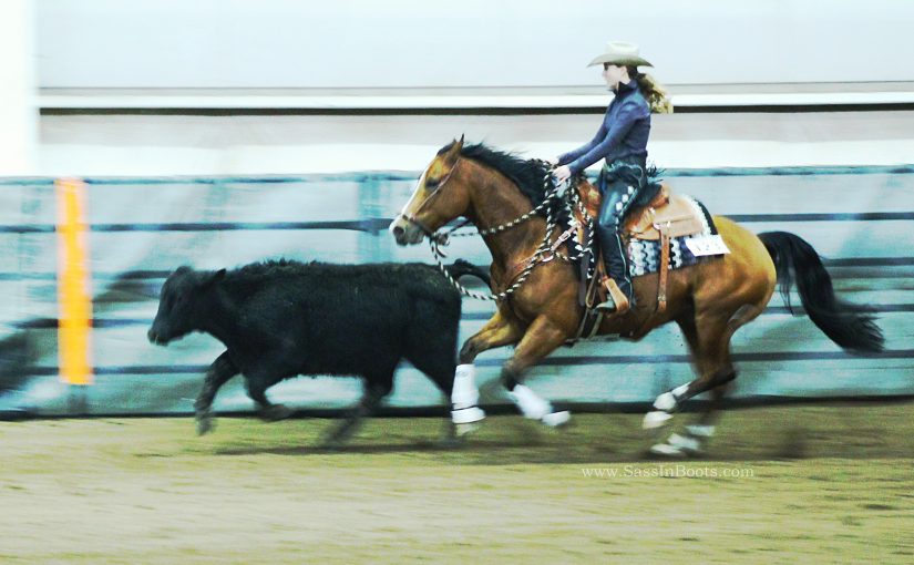 Reined Cow Horse Down The Fence