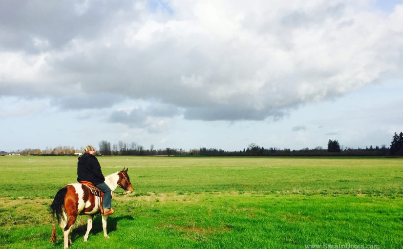 You Might Be A Horse Husband If…