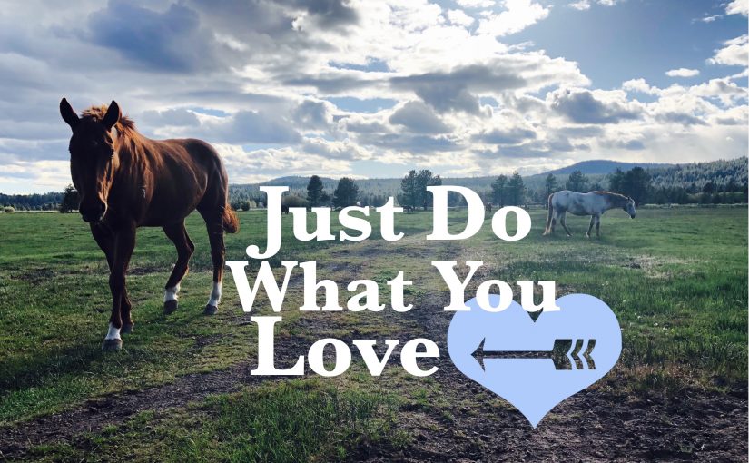 Just Do What You Love