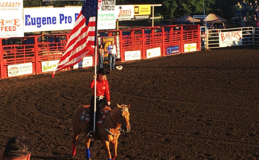 Rodeo Grand Entry Horse