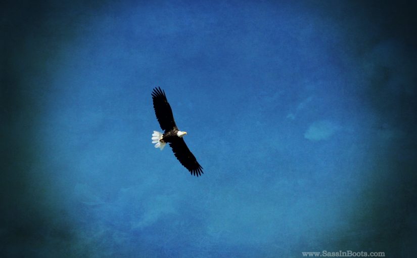 Receiving A Message On The Wind