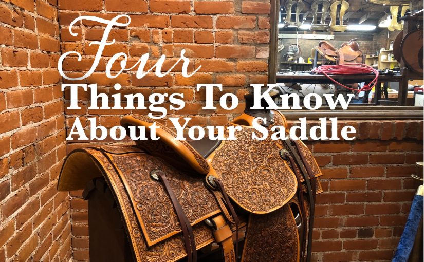Four Things You Should Know About Your Saddle
